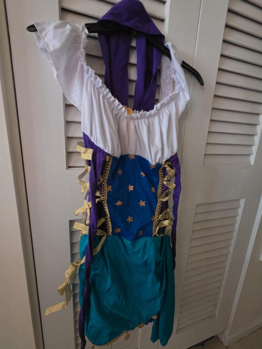 "Gypsy Princess" or Fortune Teller costume